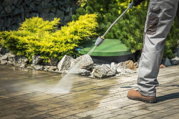 Animal Enclosure Cleaning in Lionville, PA